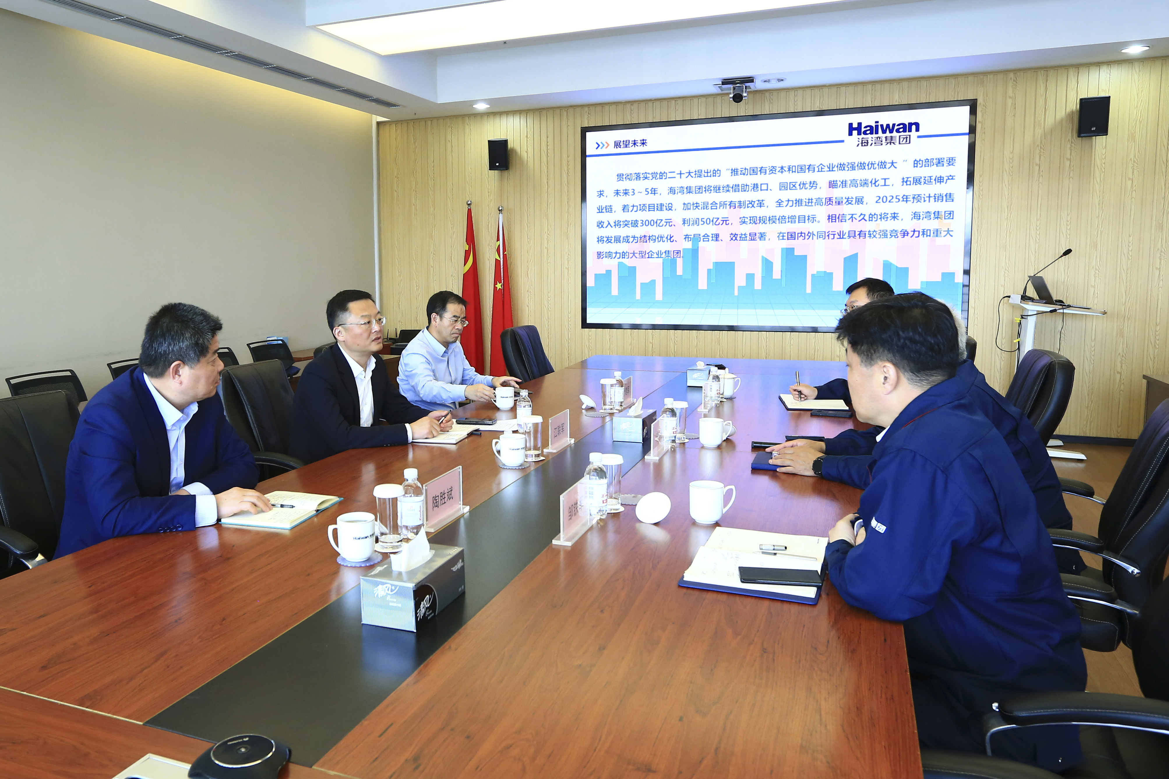 市政府(fǔ)副秘書(shu)長到海(hai)灣化學(xue)調研