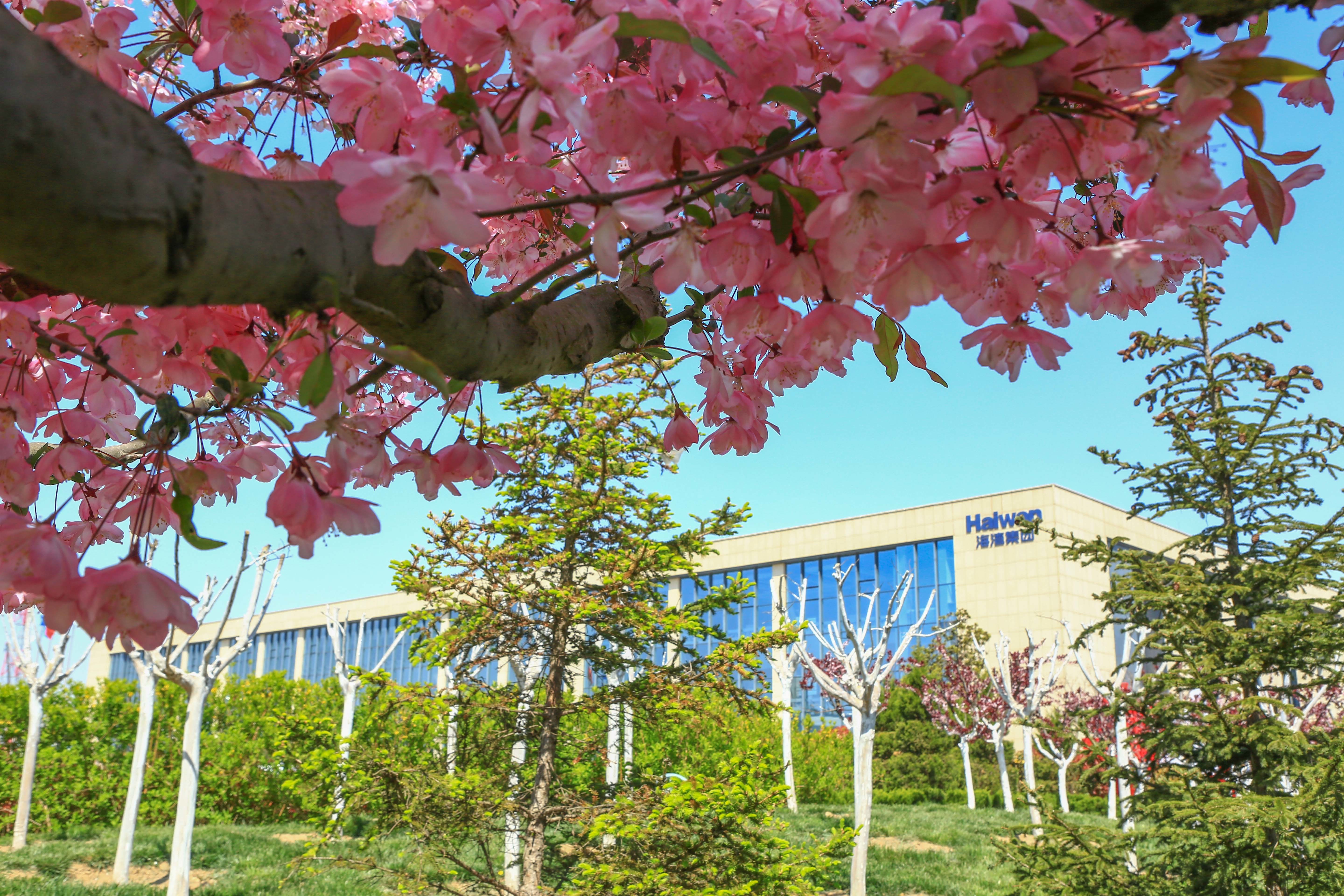 海灣化學(xué)組織“愛心(xīn)基金”捐款(kuan)